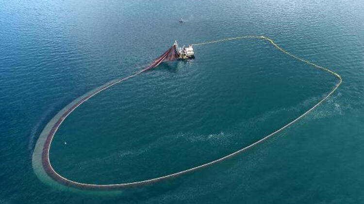 Karadeniz'de görülmemiş olay: Balıklar tersine göç etti