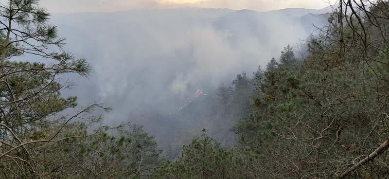 Trabzon’da 2 ilçede korkutan yangın