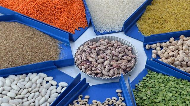2020'de 2,3 milyar dolarlık hububat ve bakliyat ihraç edildi