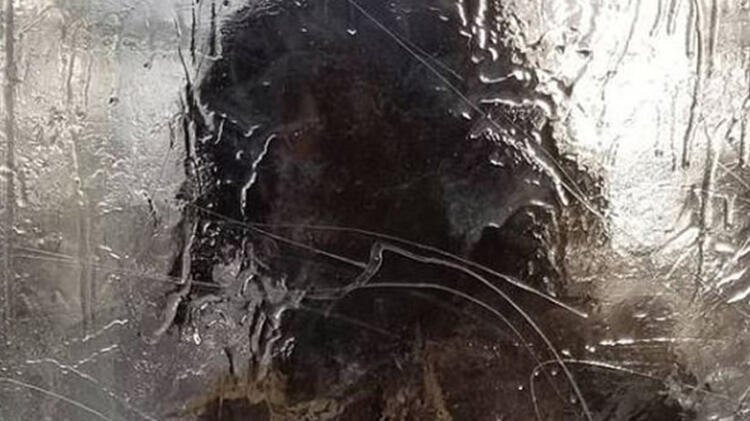 Parkta donmuş halde bulundu! Görenler fotoğraf için sıraya girdi