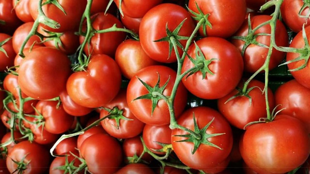 Rusya, Türkiye'den aldığı domates kotasını 50 bin ton arttırdı