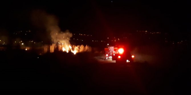 Muğla'da korkutan yangın! Alevler geceyi aydınlattı