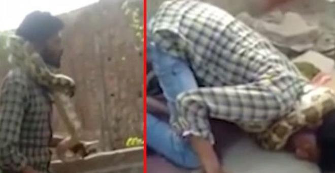 Gösterinin parçası sandılar! Dev piton sahibini böyle boğdu - Resim: 1