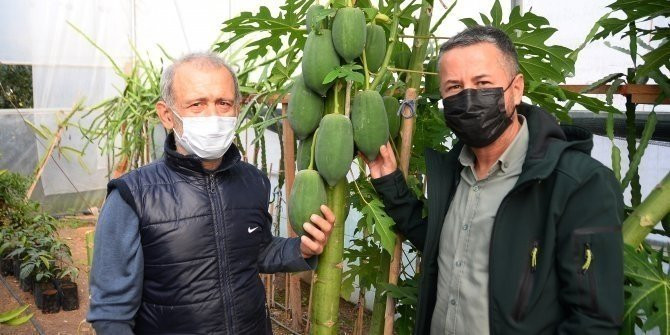 İspanya'ya gidip tadına baktı! Şimdi paraya para demiyor... - Resim: 3