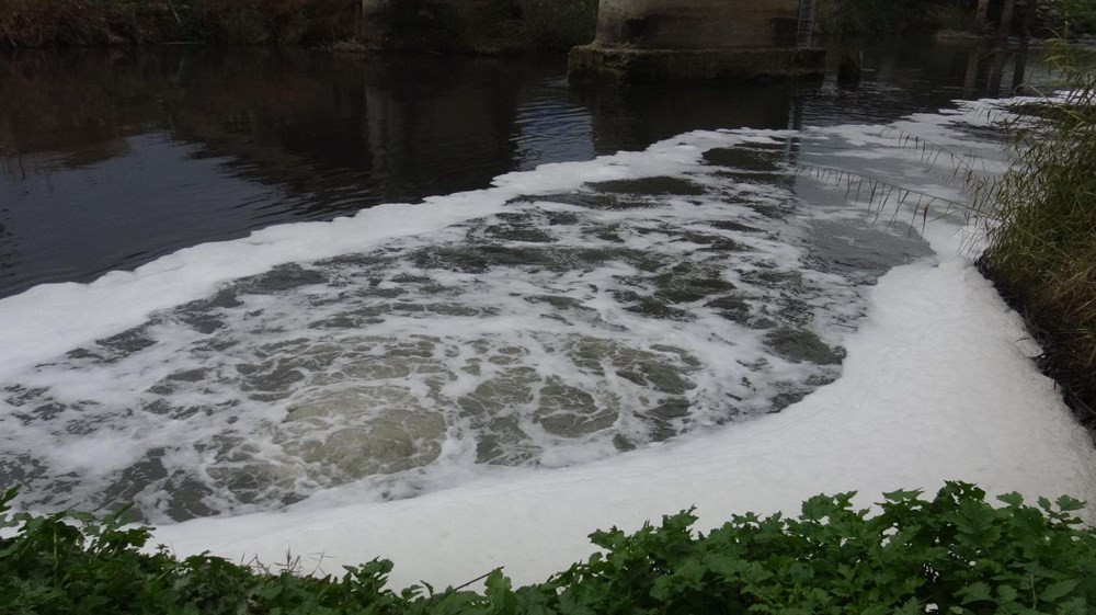 Büyük Menderes Nehri'nde kırmızı alarm: ''İçecek su bulamayacağız'' - Resim: 1