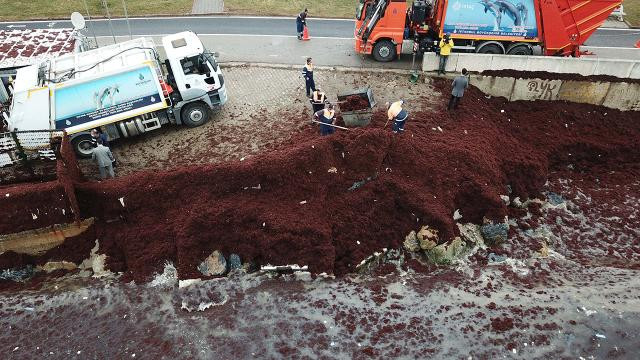 İstanbul'da Caddebostan Sahili kırmızıya büründü - Resim: 4
