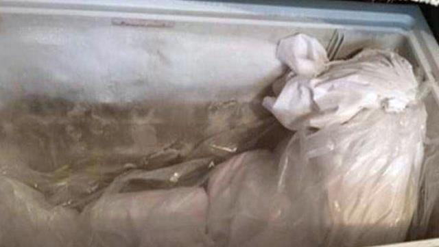Annesinin cesedini dondurucuda sakladığı ortaya çıktı