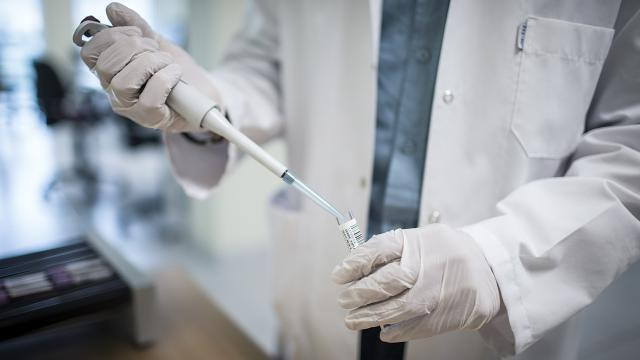 Güney Afrika'da görülen koronavirüs mutasyonu aşıyı etkisiz kılabilir