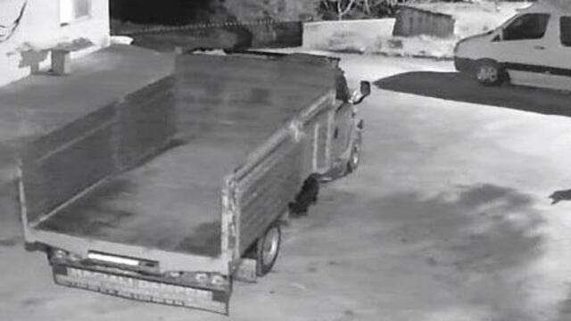 Giresun'da korkutan görüntüler! Aç kalan kurtlar mahalleye indi
