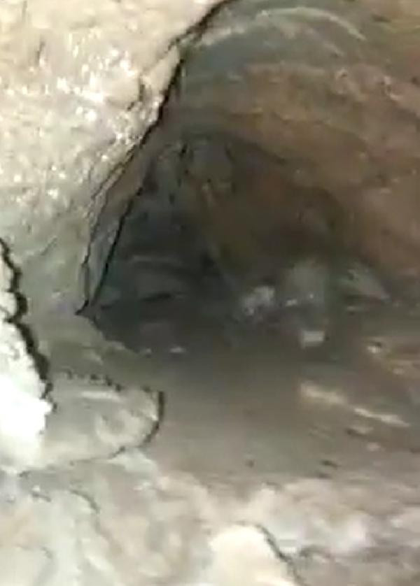 Mağarada tüyler ürperten görüntü! 2 arkadaş arkasına bakmadan kaçtı - Resim: 4