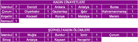 Ocak ayında Türkiye'de öldürülen kadın sayısı şoke etti - Resim: 2