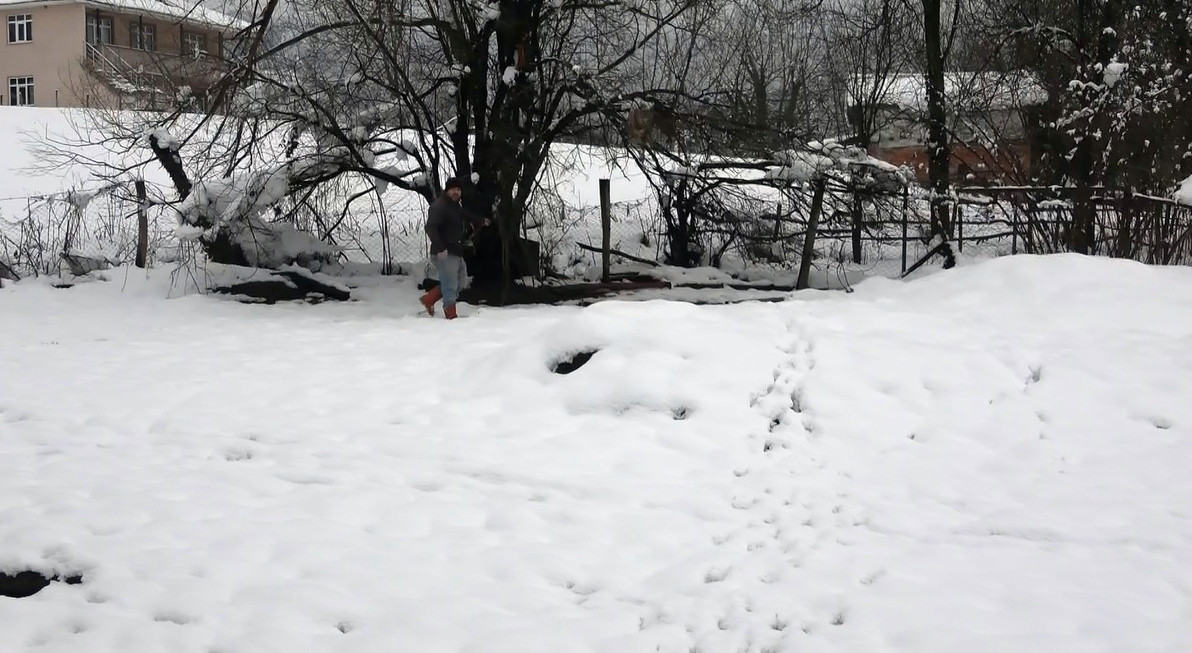 Köye inen kurtlar ortalığı savaş alanına çevirdi