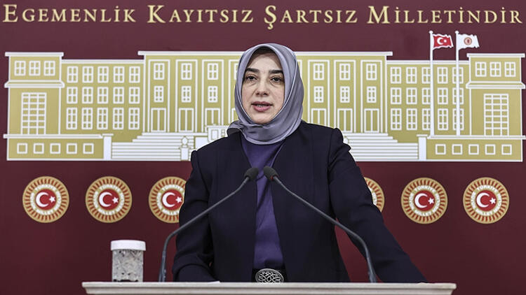 AK Partili Zengin'e hakarete disiplin soruşturması