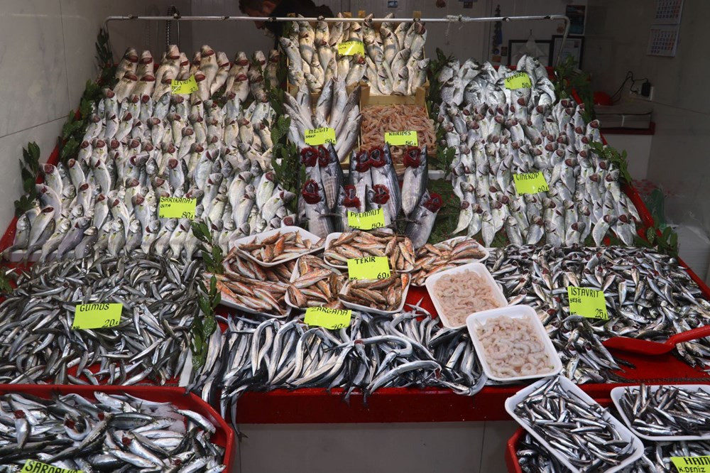 Çanakkale’de tezgahlar dolunca balık fiyatları düştü - Resim: 3