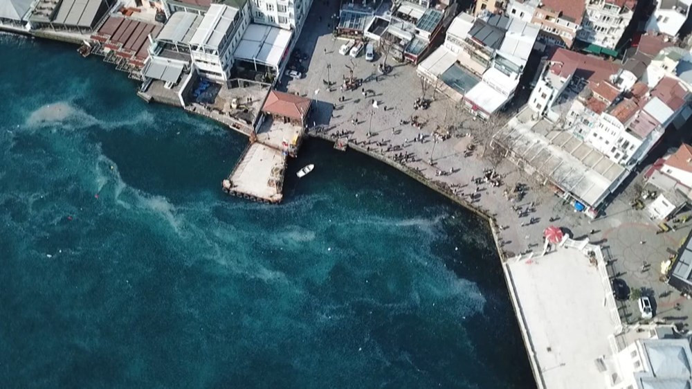 İstanbul Boğazı'nda denizanası istilası - Resim: 3