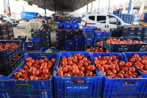 Antalya'dan dünyaya meyve ve sebze ihracatı
