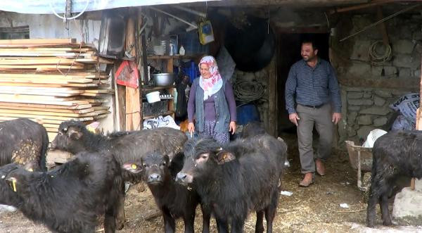 Hibe desteğiyle başladılar, şimdi taleplere yetişemiyorlar - Resim : 1