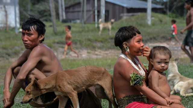 Koronavirüs, Amazonlardaki çocukları yaşlılardan daha çok öldürüyor