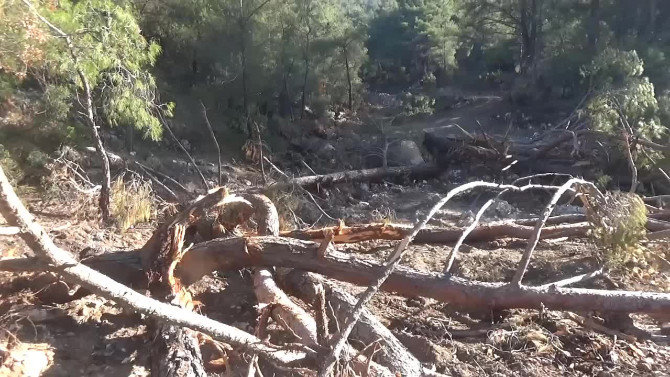 Kızılçam ormanına şimdi de mermer ocağı talanı