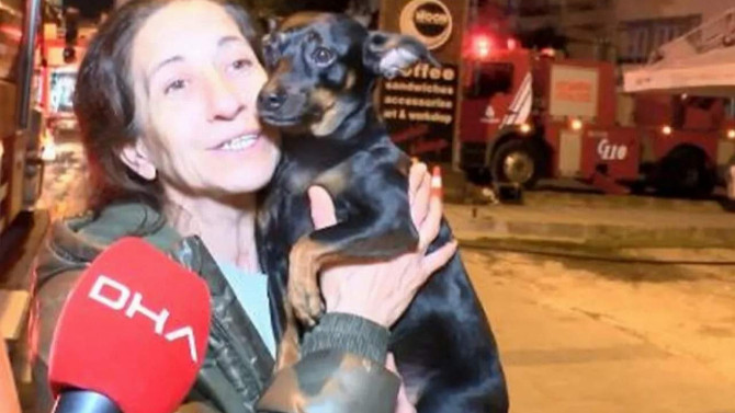 Kahraman köpek, sahibini ölümden kurtardı