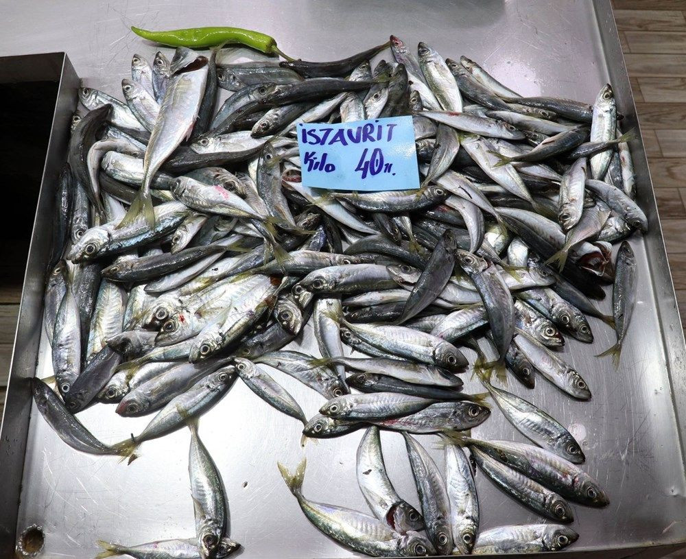 Balık fiyatlarına ''müsilaj'' zammı