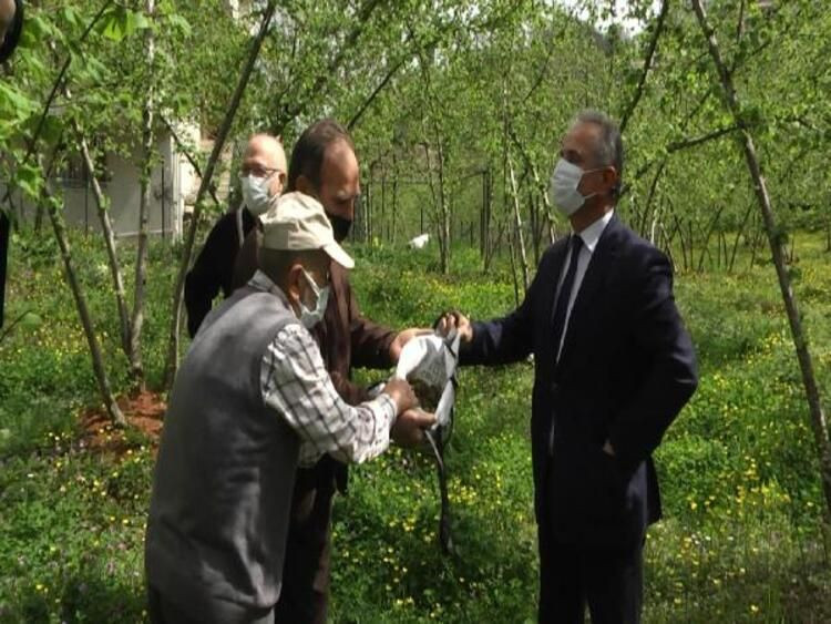Doğu Karadeniz'de alarm verildi! Kilosuna 10 TL ödenecek - Resim: 1