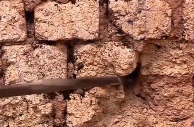Duvardan gelen sesleri kontrol etmek istedi, hayatının şokunu yaşadı - Resim: 2