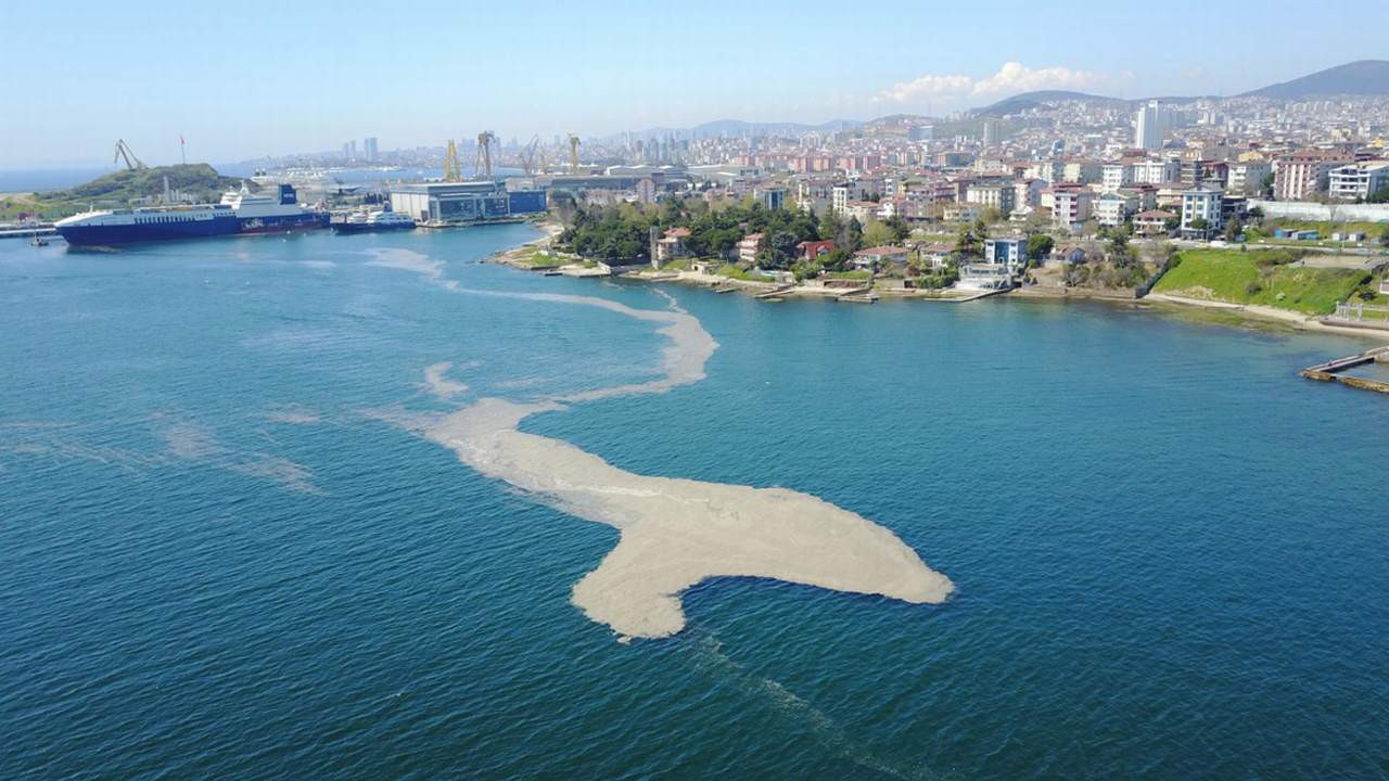 Marmara Denizi'nde yine aynı korkutan görüntü
