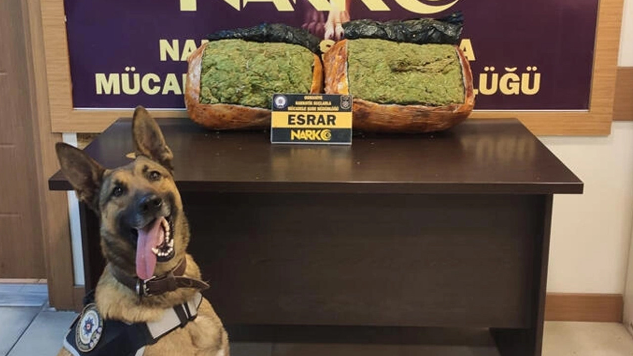Narkotik köpeği ''Pars'' otomobildeki 10,2 kilo esrarı buldu