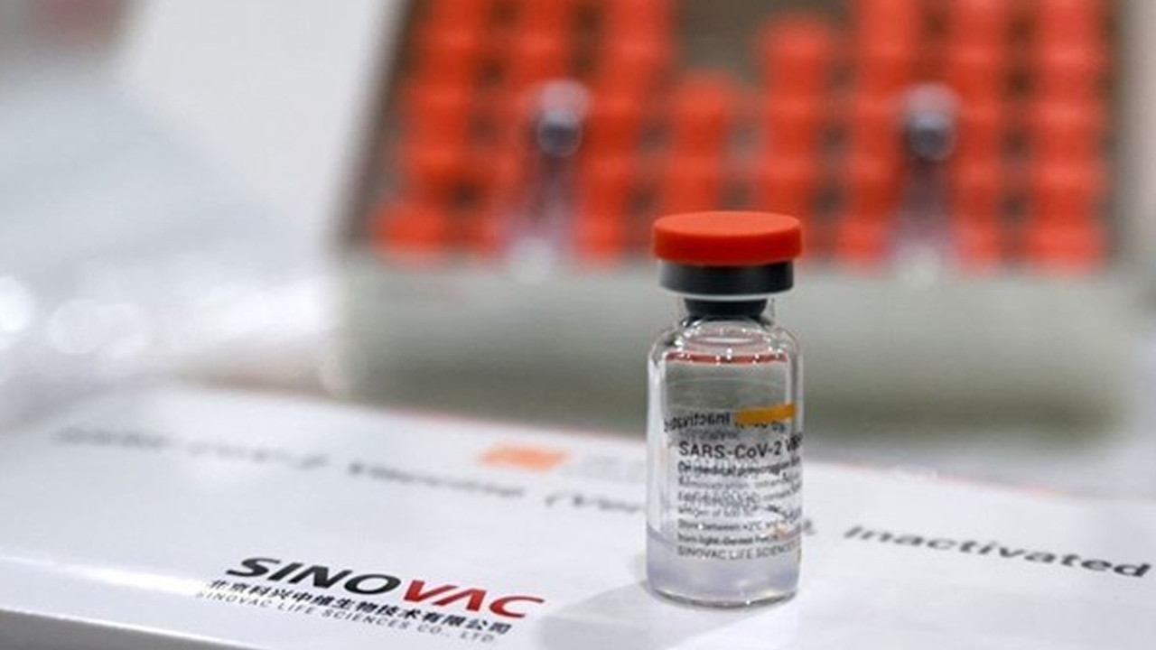 Sinovac aşısı araştırması: Antikor düzeyini 3 kat artırıyor