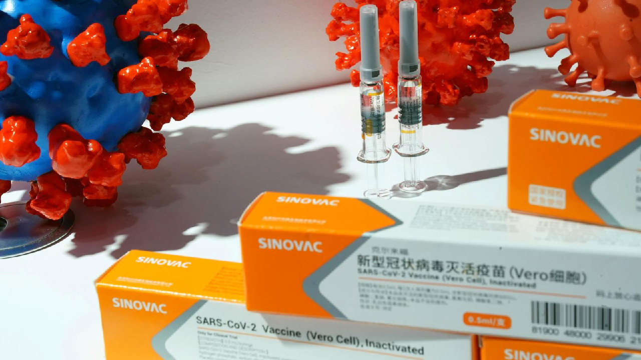 Açıklama geldi; Çin aşısı Sinovac Türkiye'de üretilecek