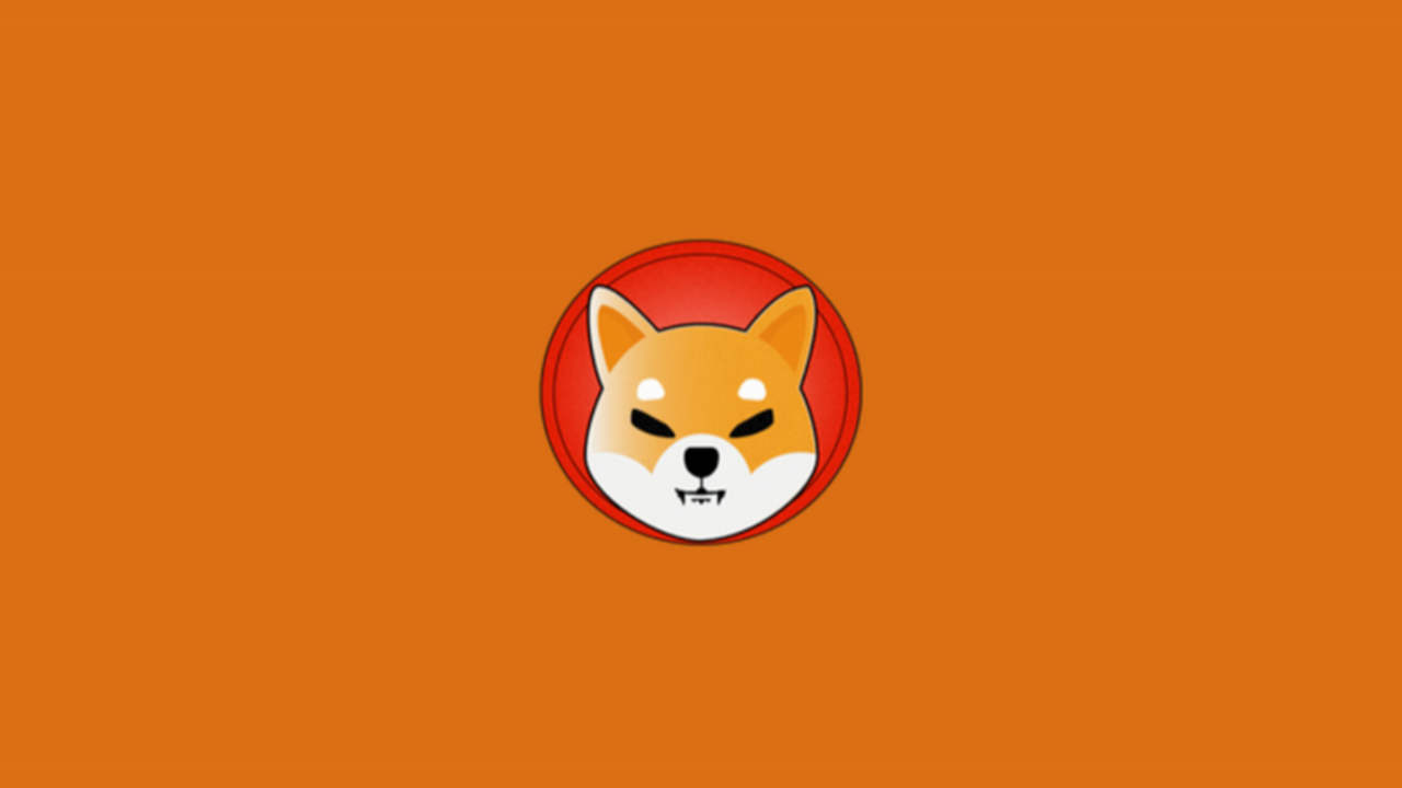 DogeCoin sonrası şimdi de SHIB çılgınlığı yaşanıyor