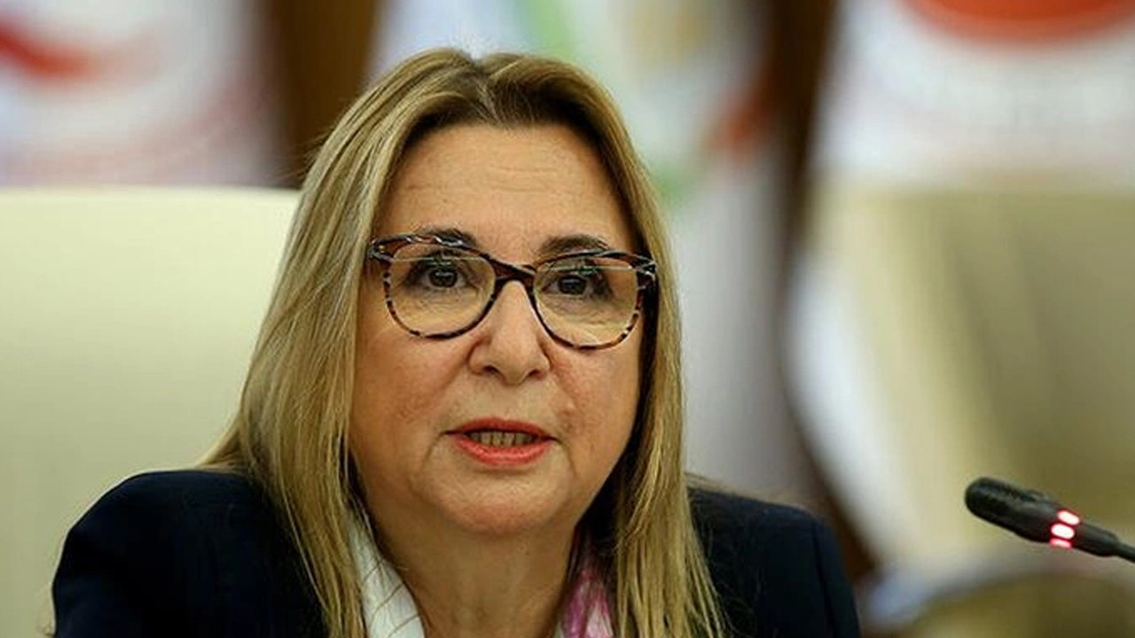 CHP, Ruhsar Pekcan için Meclis soruşturma komisyonu kurulmasını istedi