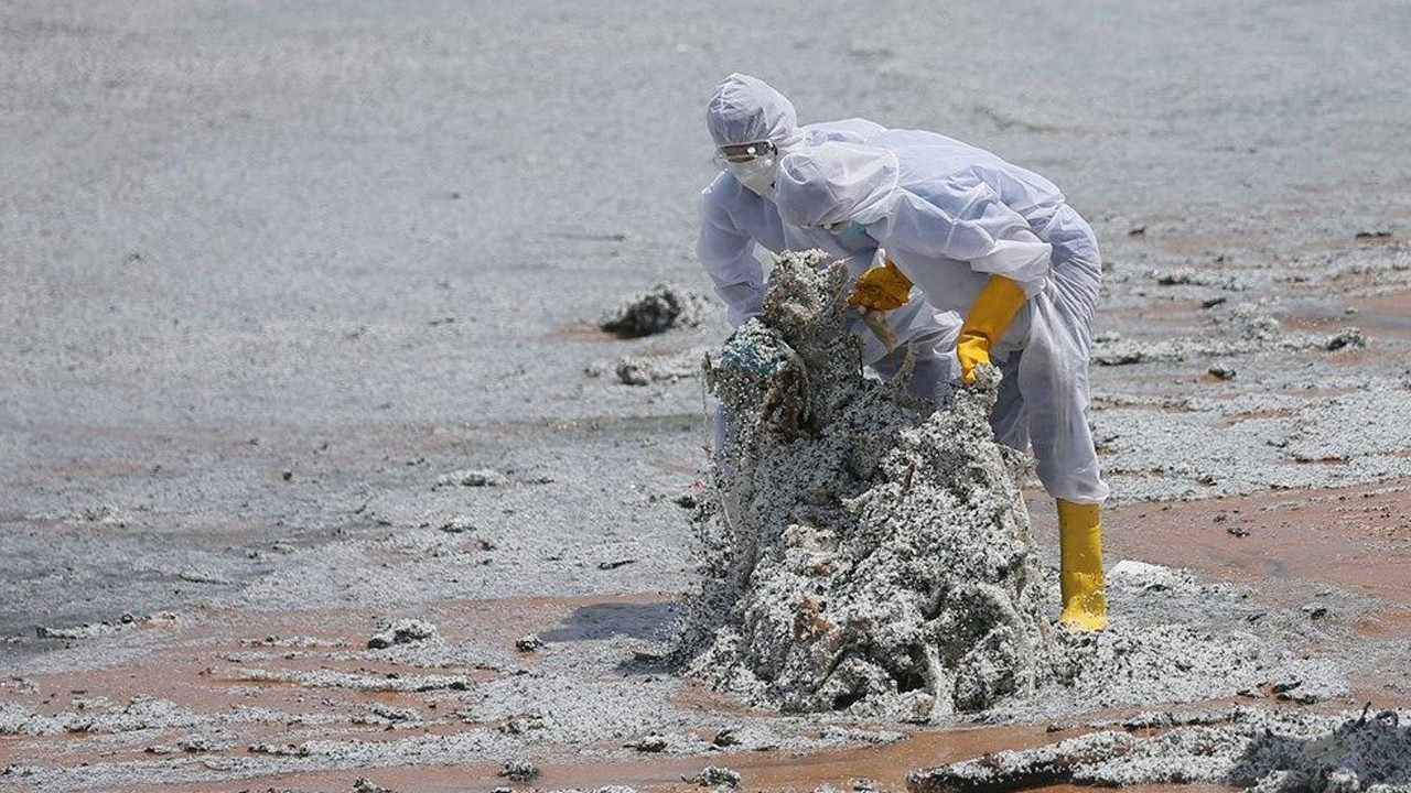 Sri Lanka sahilleri plastik parçacıklarıyla kaplandı