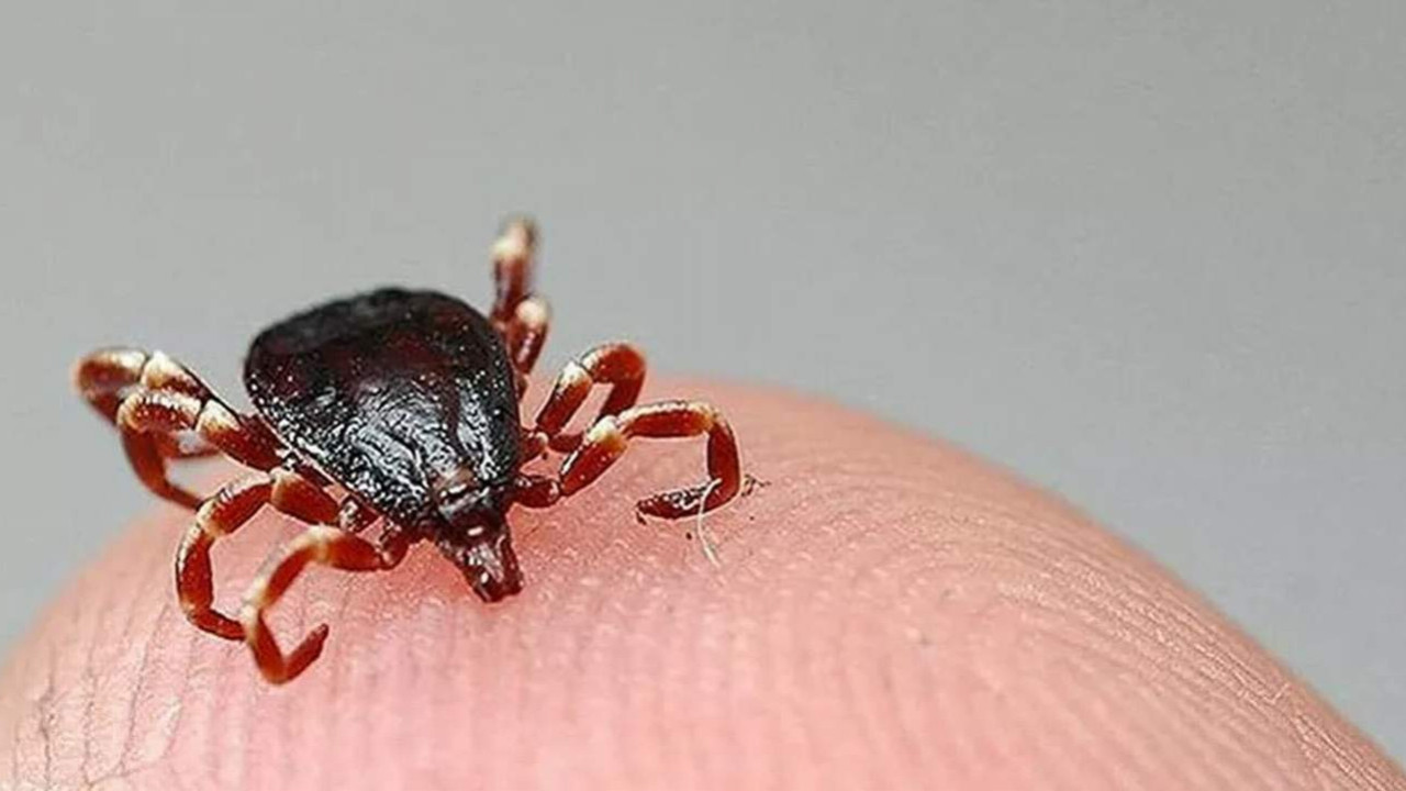 Kabus geri döndü! Sivas'ta 1 kişi hayatını kaybetti