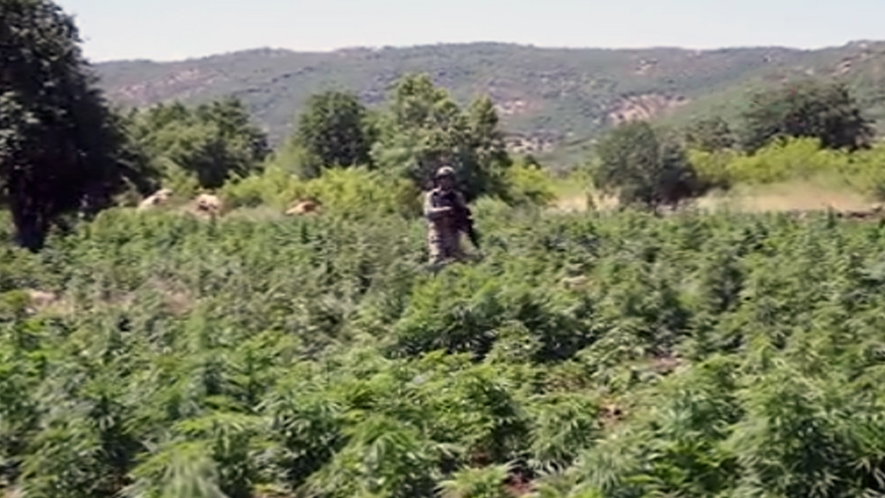 Diyarbakır'da PKK'nın finans kaynağına ağır darbe