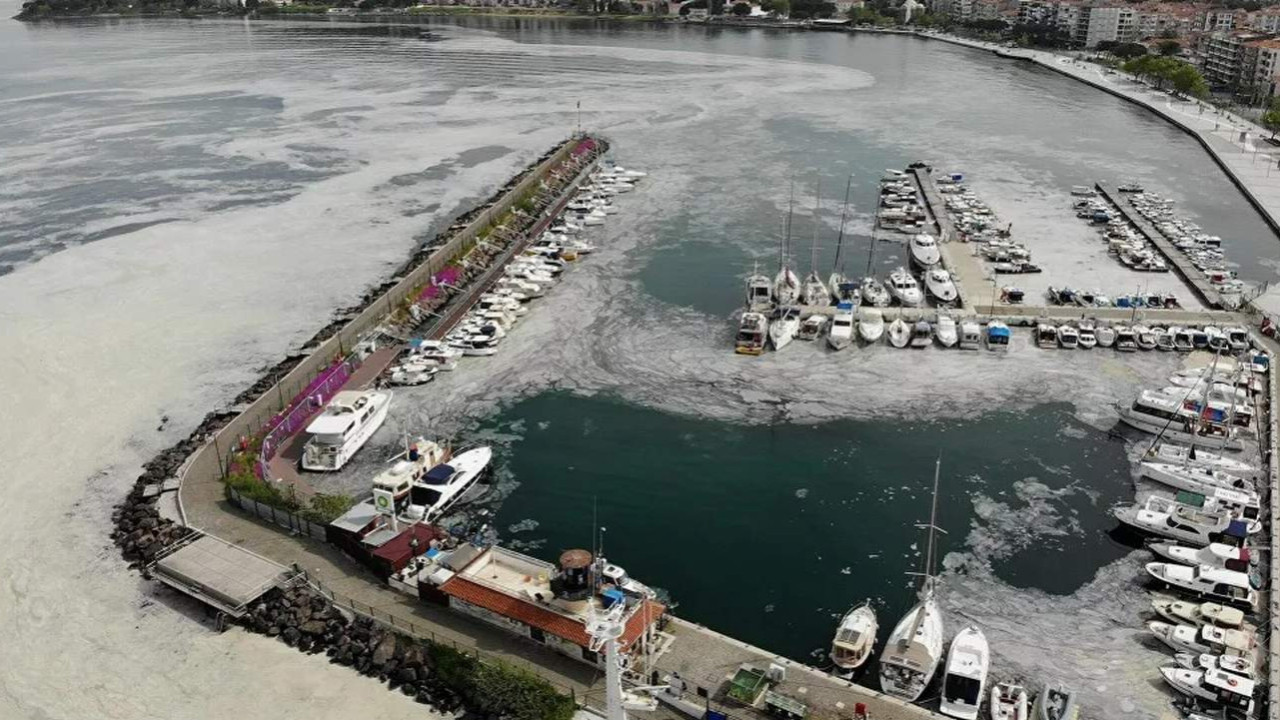 Marmara'yı kirleten 16 işletme kapatıldı