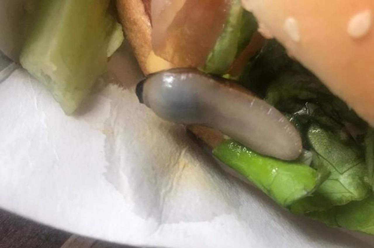 İğrenç! Ünlü fastfood zincirinin hamburgerinden sümüklü böcek çıktı