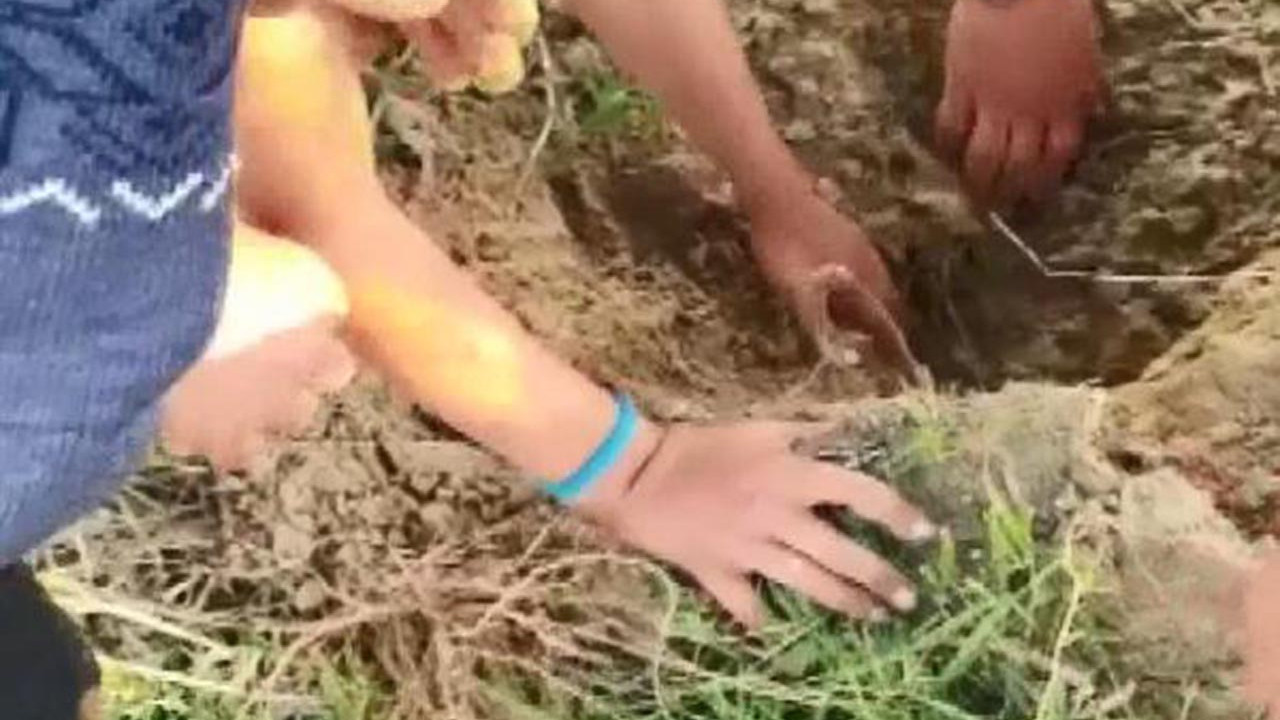 Toprağa gömülen köpekleri çocuklar kurtardı