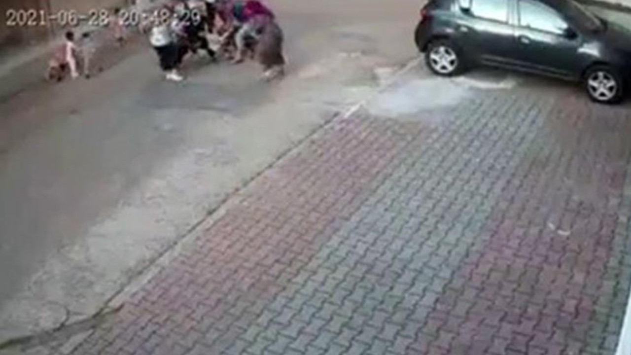 İstanbul'da 9 yaşındaki çocuğa pitbull saldırısı