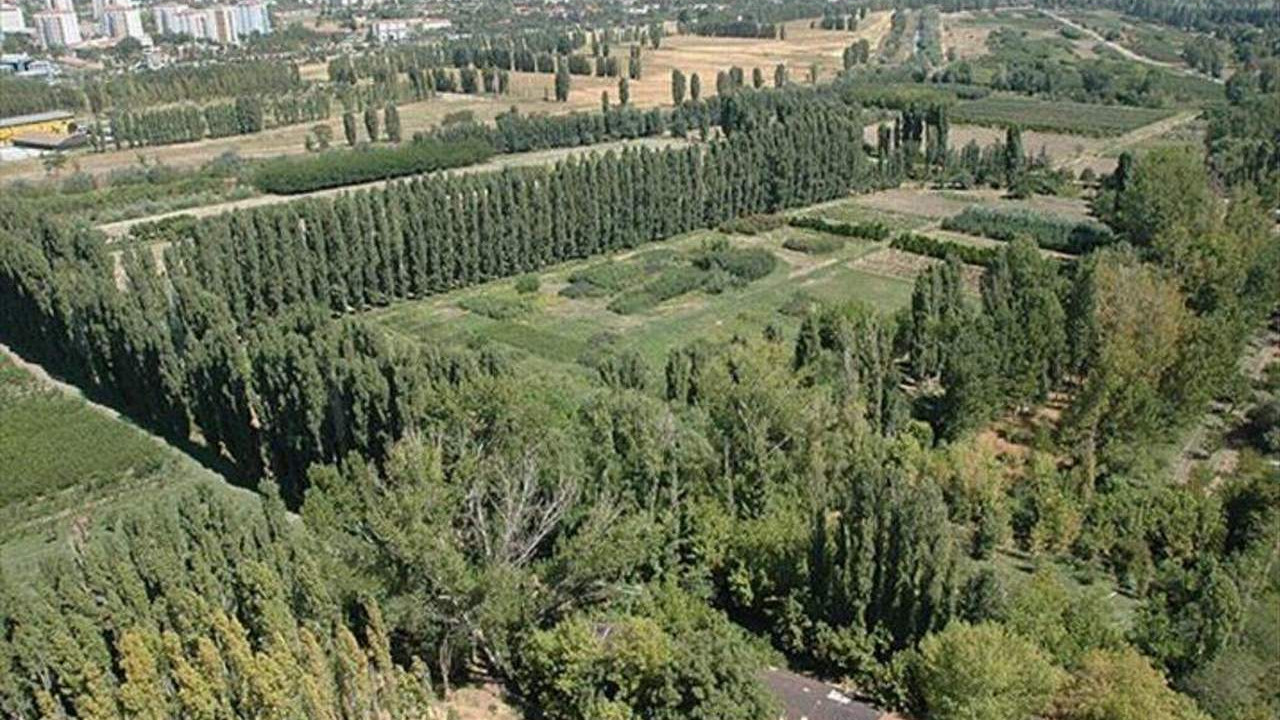 Bakanlıktan Atatürk Orman Çiftliği'ne lüks konut açıklaması