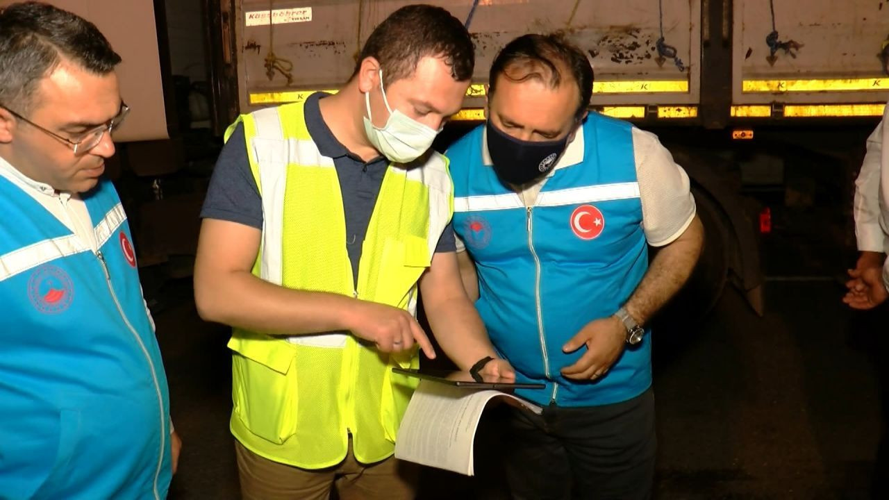 İlk kurbanlık hayvanların İstanbul'da - Resim: 2