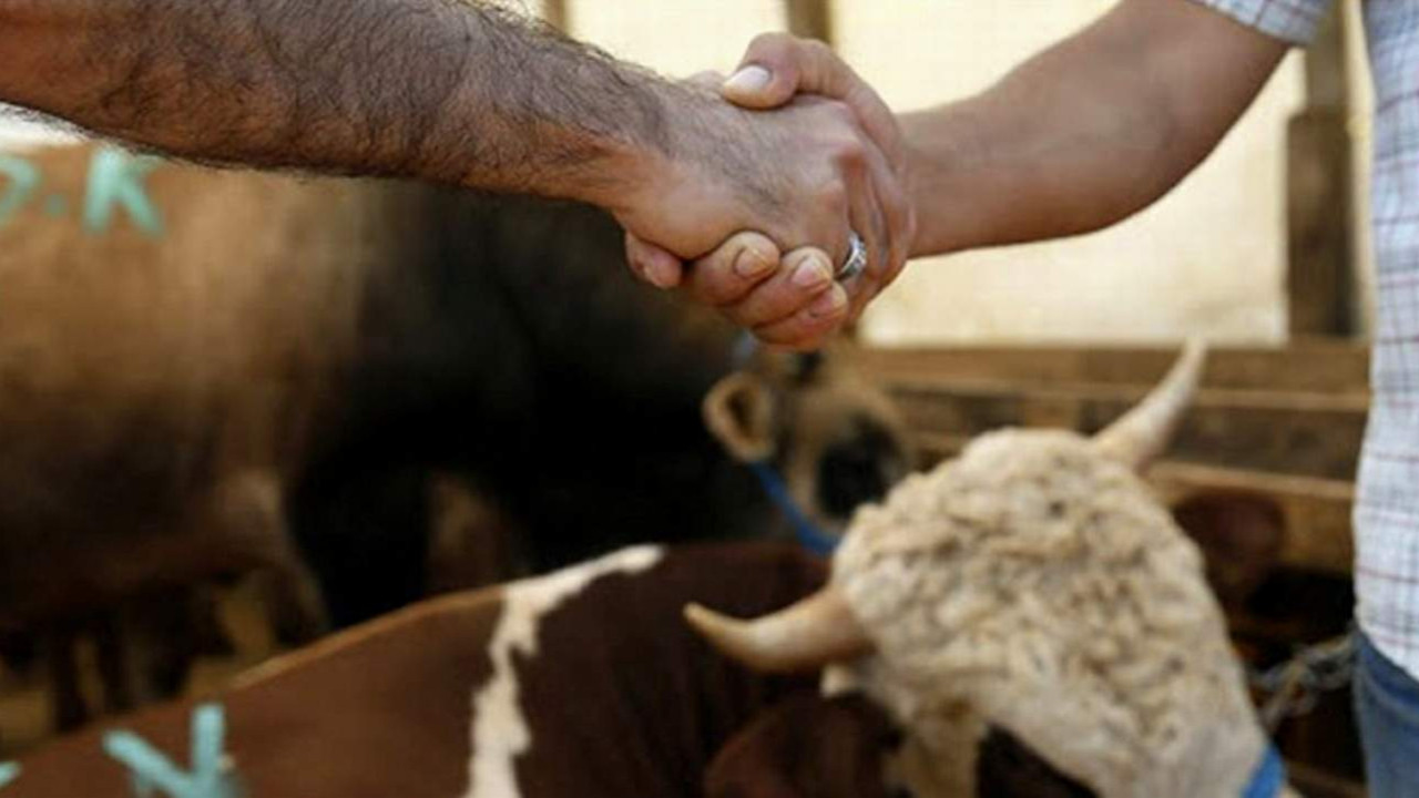 Bayrama salgın tedbiri! Kurban pazarlarında bu hareket yasaklandı