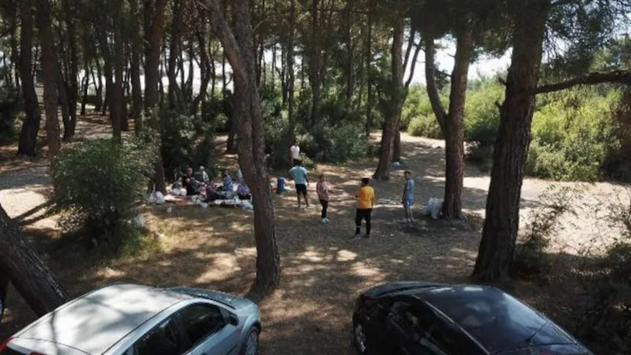 İzmir'de ormanlara 2,5 aylık piknik yasağı