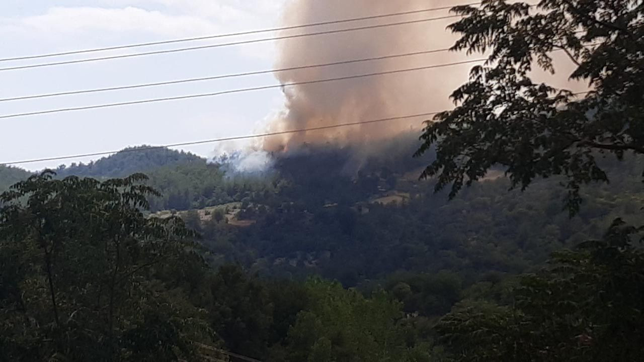 Osmaniye'de büyük orman yangını - Resim: 1