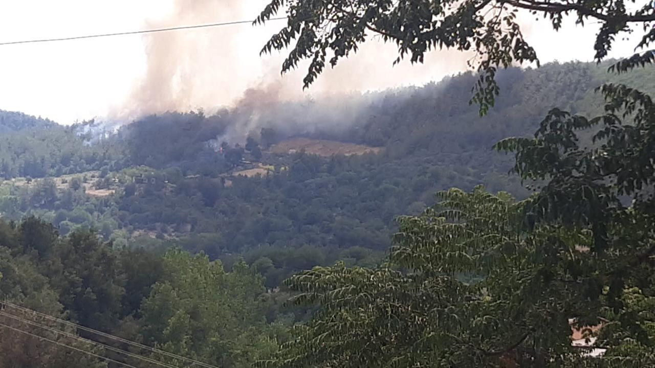 Osmaniye'de büyük orman yangını - Resim: 3