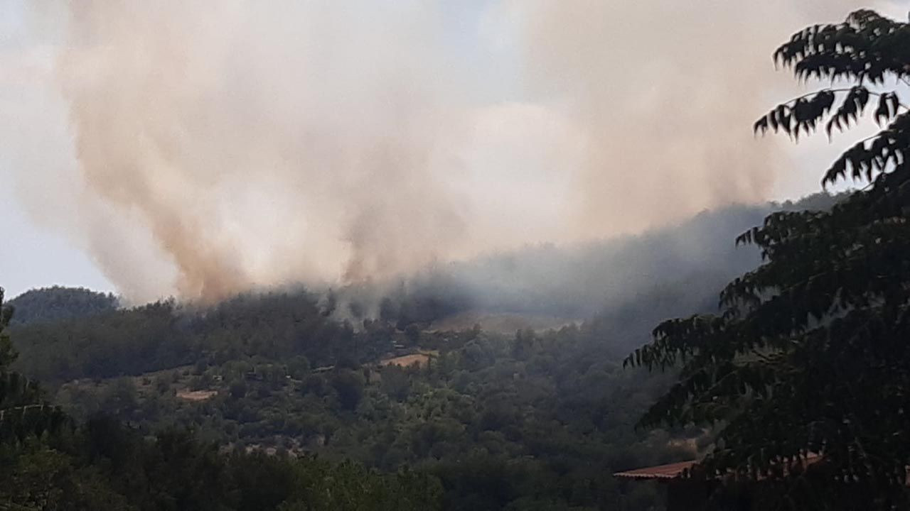 Osmaniye'de büyük orman yangını - Resim: 4