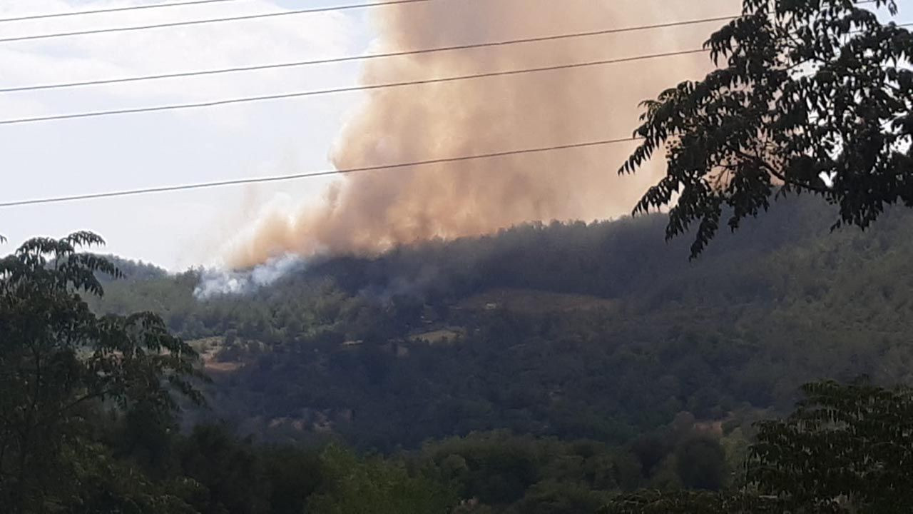 Osmaniye'de büyük orman yangını - Resim: 2