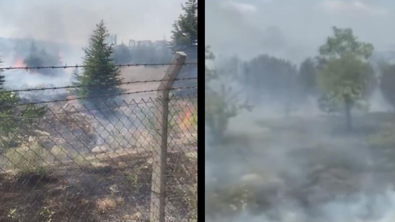 Ankara'da Atatürk Orman Çiftliği arazisinde yangın: 1 kişi gözaltına alındı