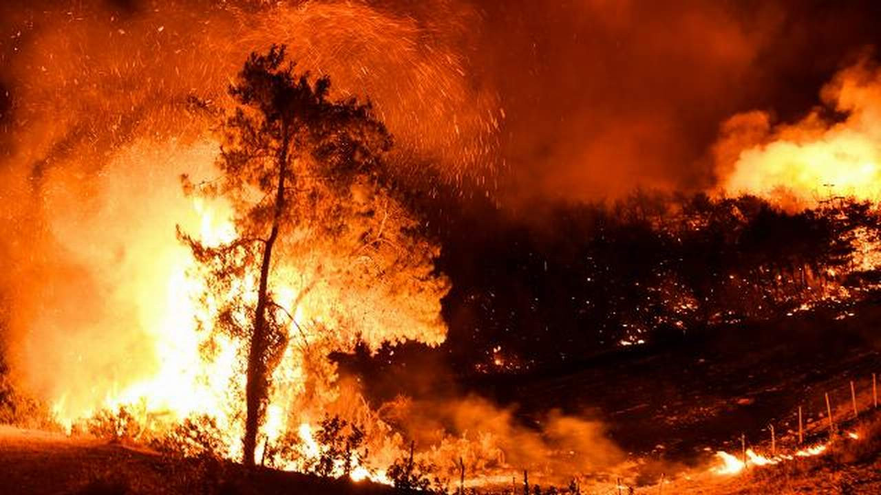 Yangından etkilenen yerler afet bölgesi ilan edildi
